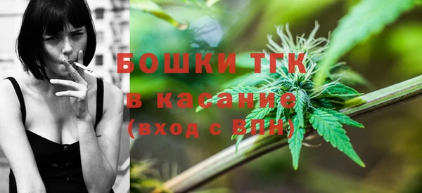 2c-b Бородино