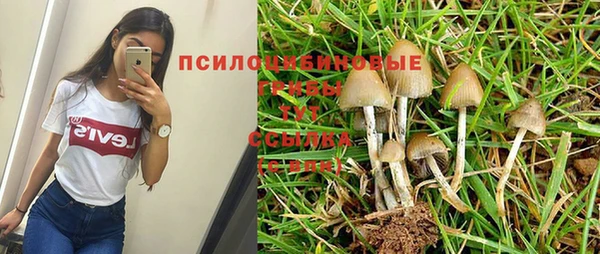 не бодяженный Карпинск
