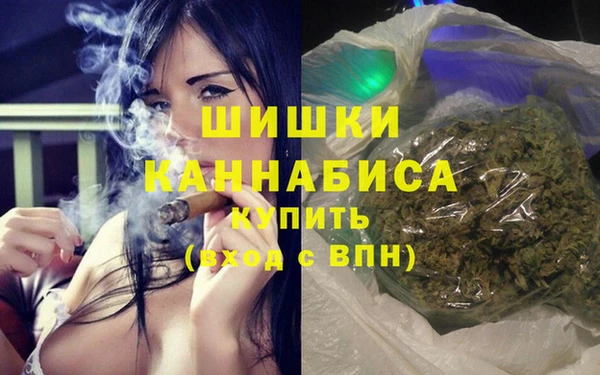 гашик Бронницы