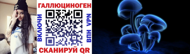 Псилоцибиновые грибы MAGIC MUSHROOMS  где найти   MEGA зеркало  Дзержинский 