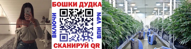 Каннабис гибрид Дзержинский